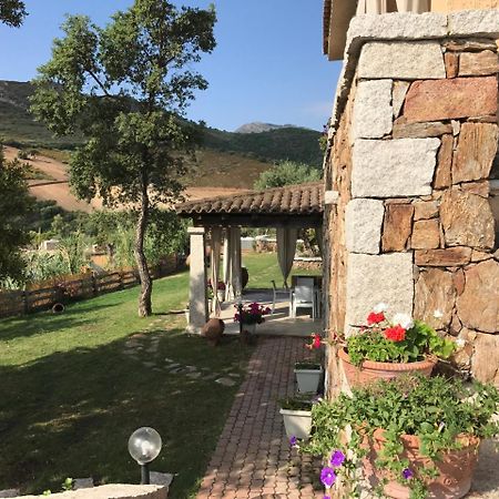Il Giardino di Daniela Apartments San Teodoro  Esterno foto