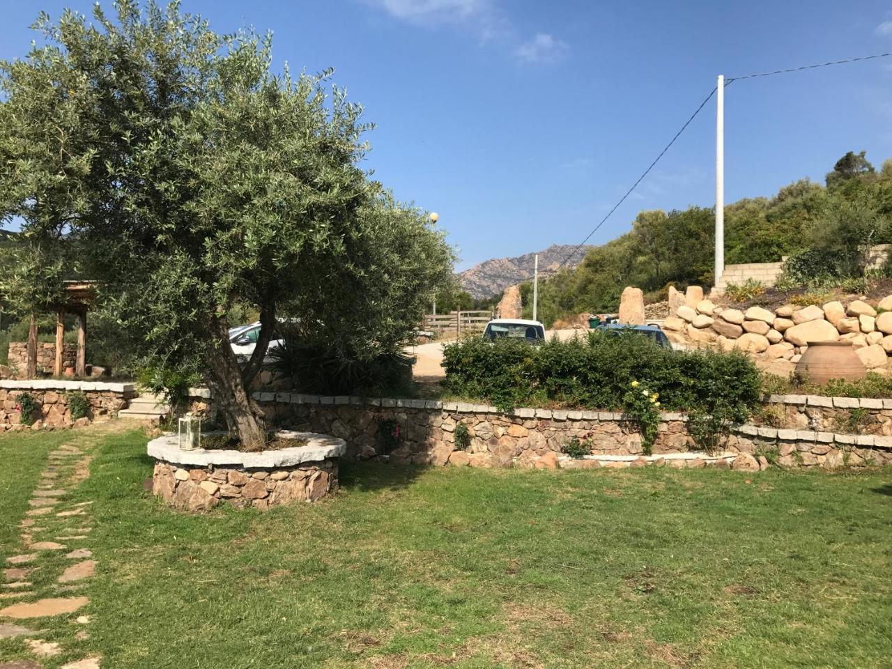 Il Giardino di Daniela Apartments San Teodoro  Esterno foto